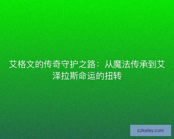 艾格文的传奇守护之路：从魔法传承到艾泽拉斯命运的扭转