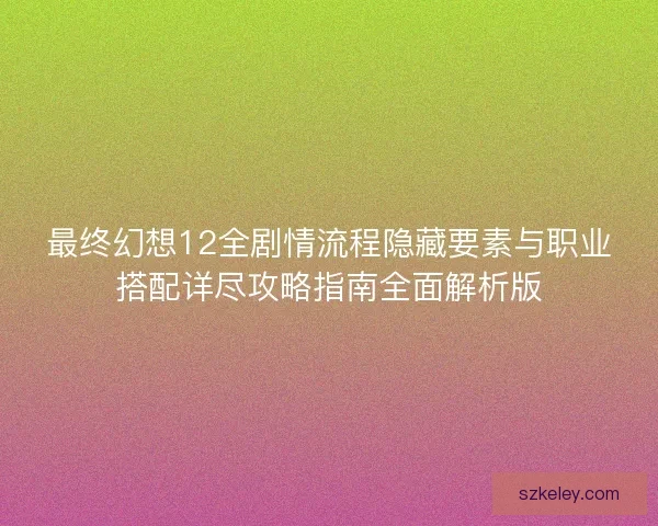 最终幻想12全剧情流程隐藏要素与职业搭配详尽攻略指南全面解析版