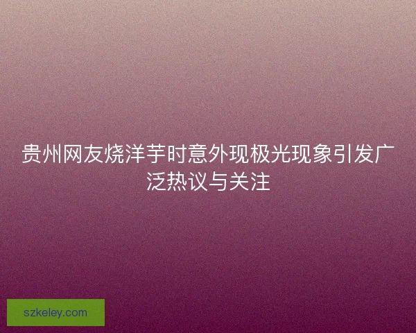 贵州网友烧洋芋时意外现极光现象引发广泛热议与关注